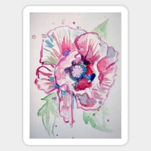 Pink Poppy Watercolour Painting Sticker